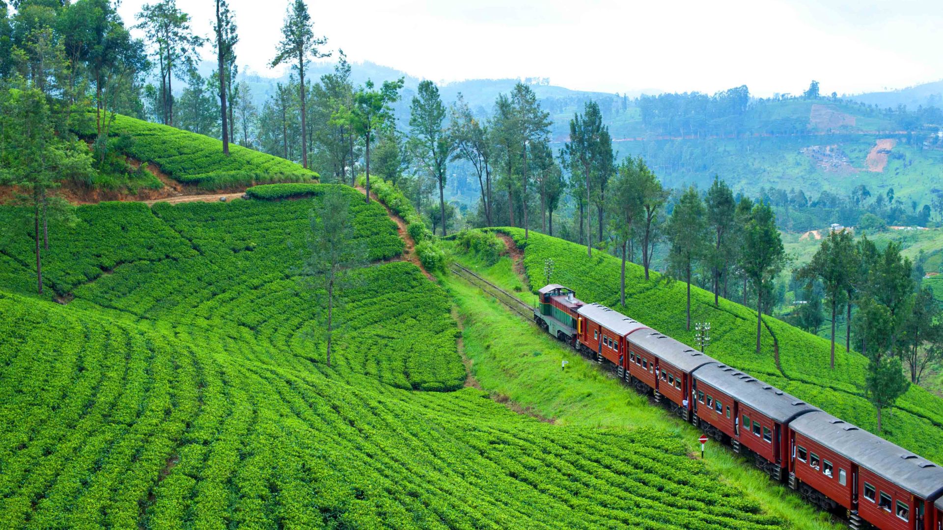 Ancient City of Anuradhapura